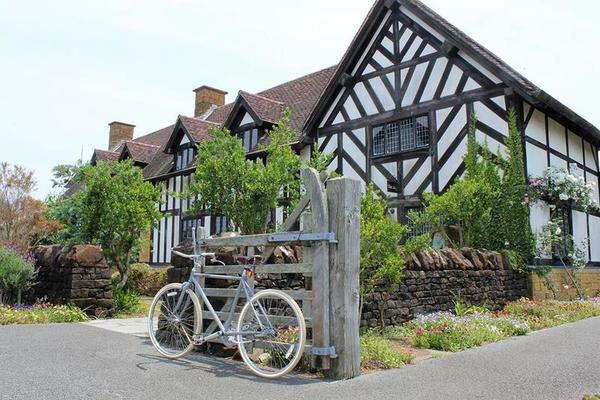 Linus Roadster Classic - 画像 (8)